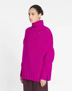 Hot Turtleneck sweater Women Knitwear