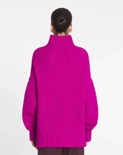 Hot Turtleneck sweater Women Knitwear